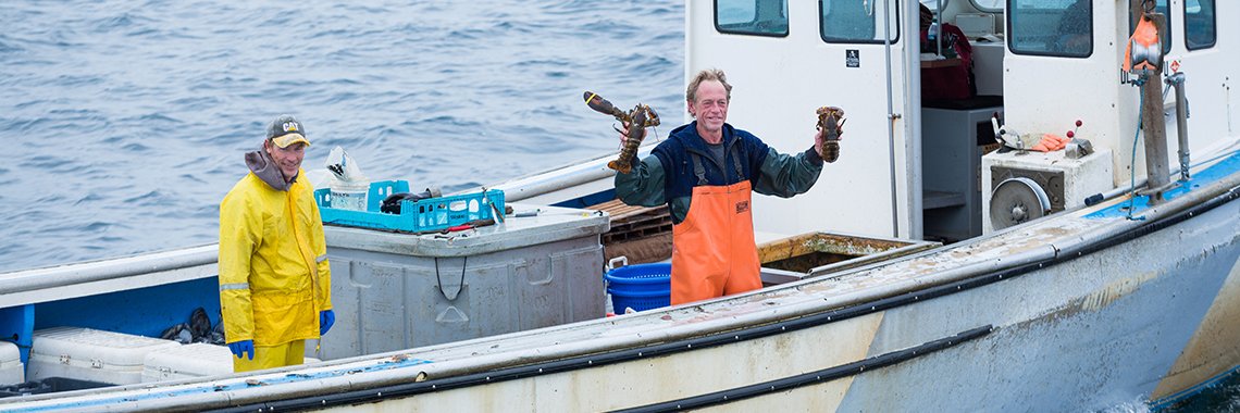 commercial fishing crab_lobster strip