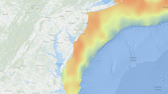zooplankton no legend